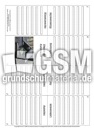 Faltbuch-Kohlmeise.pdf